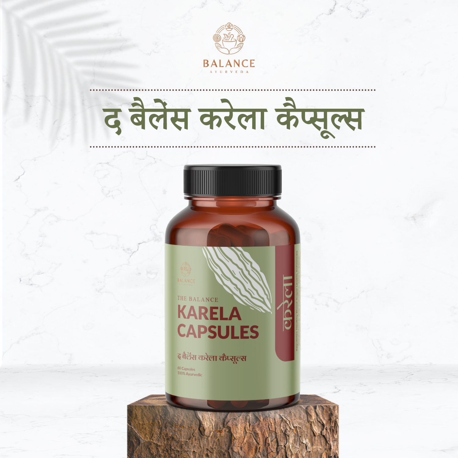 Balance Ayurveda Karela Capsules Website Infographic Hindi