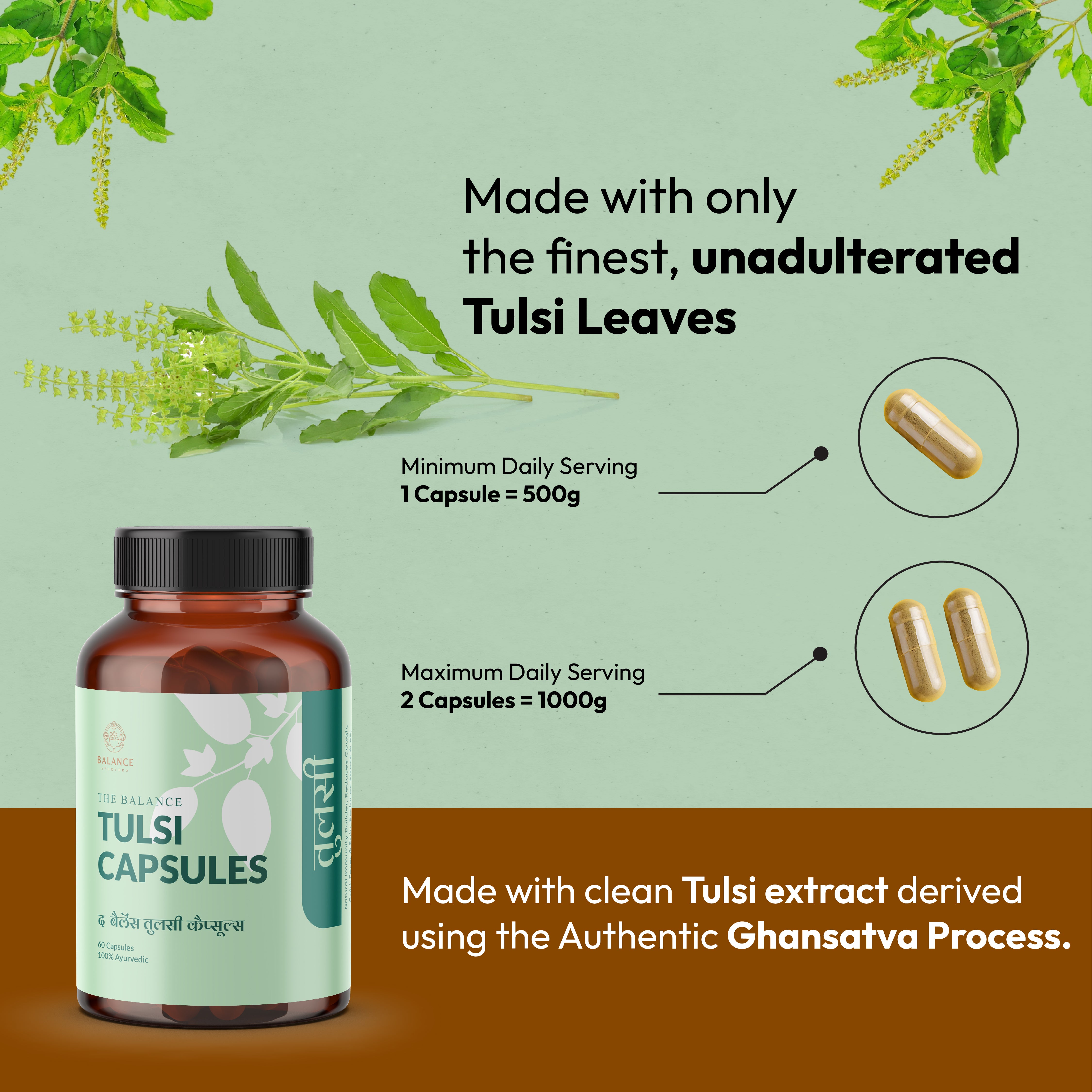 TULSI CAPSULE TABLET AYURVEDIC OCIMUM SANCTUM 